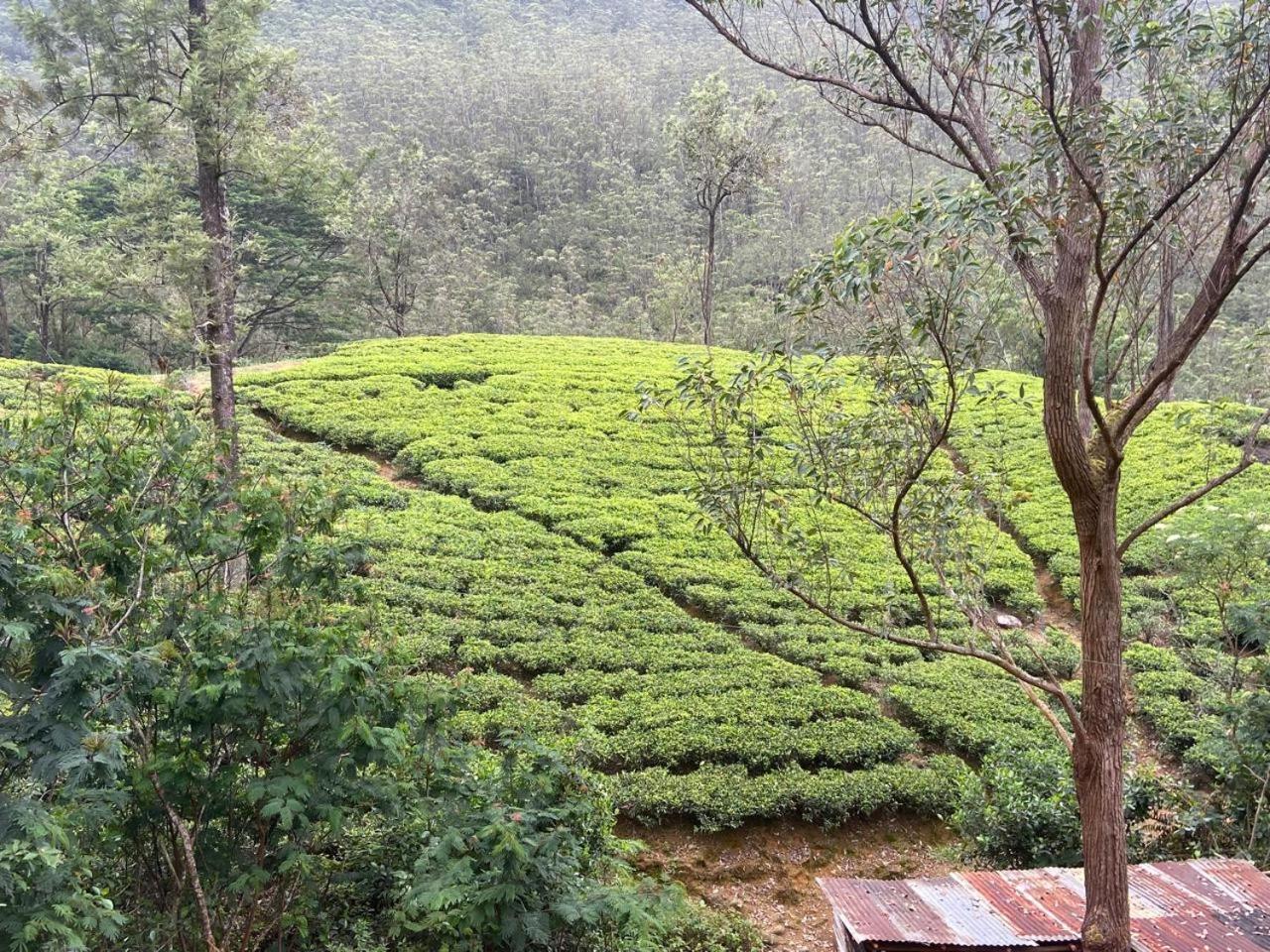 Shan Hotel Nallathanniya Extérieur photo